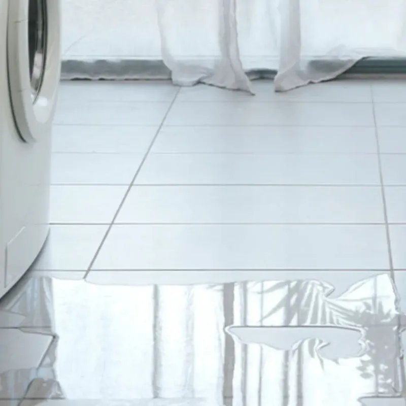 Appliance Leak Cleanup in Chester, MD
