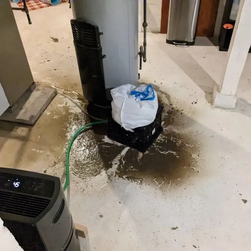 Sewage Backup Cleanup Service in Chester, MD